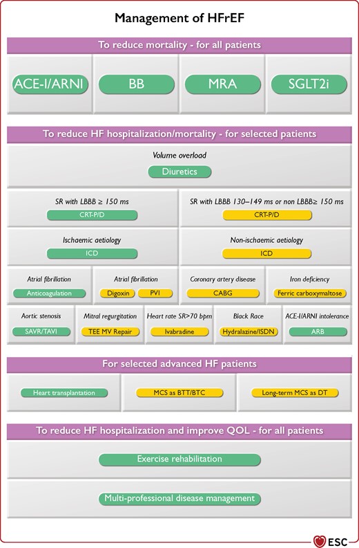 Management of HFrEF